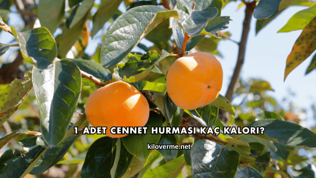 1 Adet Cennet Hurması Kaç Kalori?