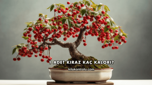 1 Adet Kiraz Kaç Kalori?