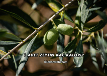 1 Adet Zeytin Kaç Kalori?