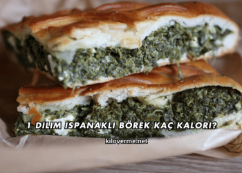 1 Dilim Ispanaklı Börek Kaç Kalori?