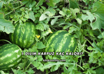 1 Dilim Karpuz Kaç Kalori?