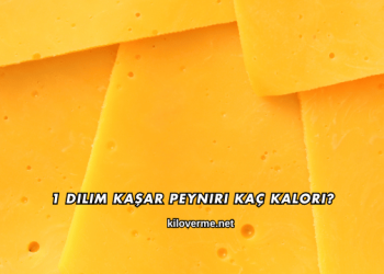 1 Dilim Kaşar Peyniri Kaç Kalori?
