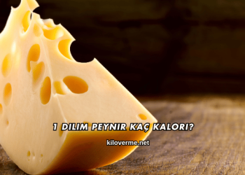 1 Dilim Peynir Kaç Kalori?