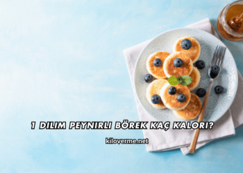 1 Dilim Peynirli Börek Kaç Kalori?