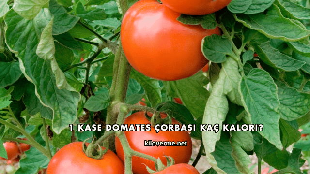 1 Kase Domates Çorbası Kaç Kalori?