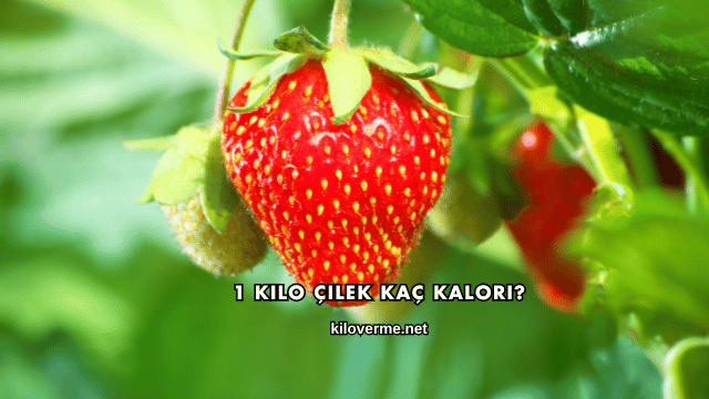 1 Kilo Çilek Kaç Kalori?