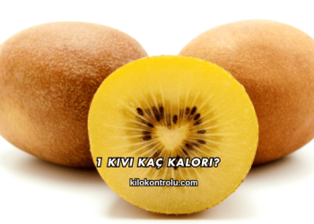 1 Kivi Kaç Kalori?