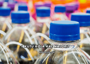 1 Kutu Kola Kaç Kalori?