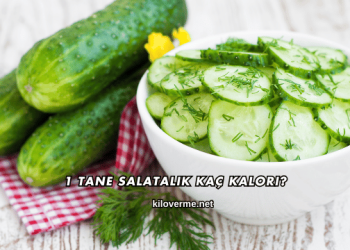 1 Tane Salatalık Kaç Kalori?