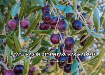 1 Tatlı Kaşığı Zeytinyağı Kaç Kalori?
