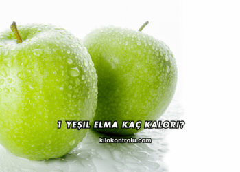 1 Yeşil Elma Kaç Kalori?