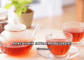 Adaçayının Faydaları Nelerdir?