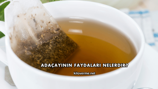 Adaçayının Faydaları Nelerdir?