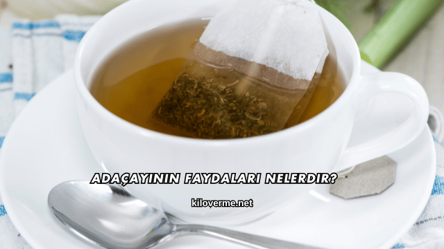 Adaçayının Faydaları Nelerdir?