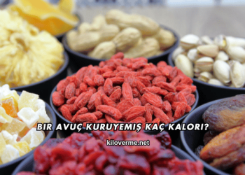Bir Avuç Kuruyemiş Kaç Kalori?