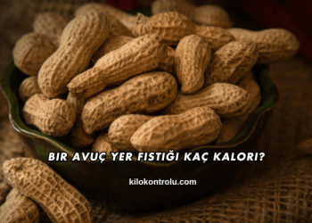 Bir Avuç Yer Fıstığı Kaç Kalori?
