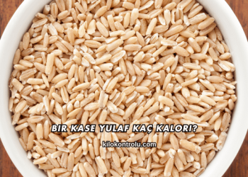 Bir Kase Yulaf Kaç Kalori?