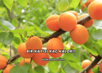 Bir Kayısı Kaç Kalori?