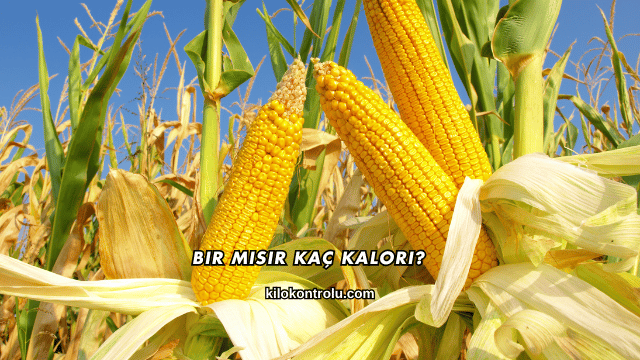 Bir Mısır Kaç Kalori?