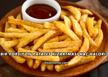 Bir Porsiyon Patates Kızartması Kaç Kalori?