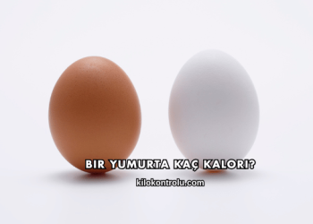 Bir Yumurta Kaç Kalori?