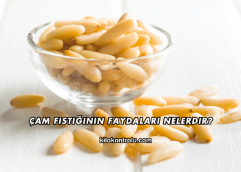 Çam Fıstığının Faydaları Nelerdir?