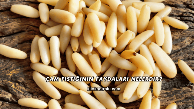 Çam Fıstığının Faydaları Nelerdir?