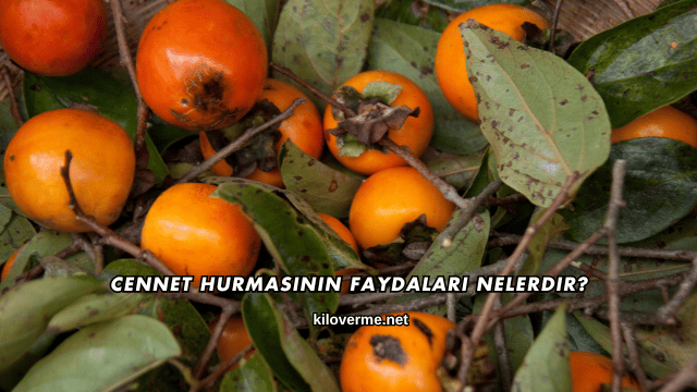 Cennet Hurmasının Faydaları Nelerdir?