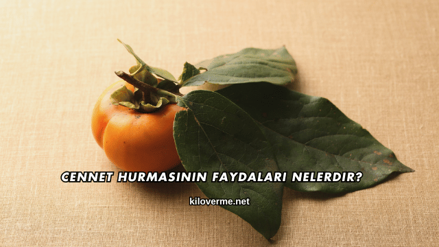 Cennet Hurmasının Faydaları Nelerdir?