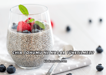 Chia Tohumu Ne Kadar Tüketilmeli?