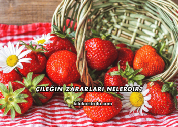 Çileğin Zararları Nelerdir?
