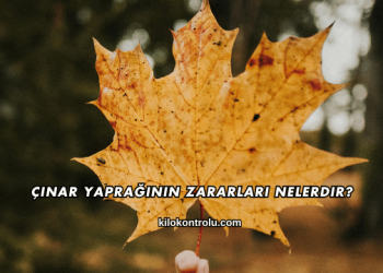Çınar Yaprağının Zararları Nelerdir?