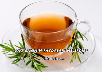 Dağ Çayının Faydaları Nelerdir?
