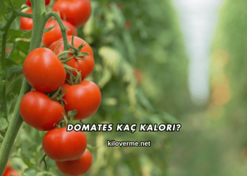 Domates Kaç Kalori?