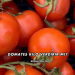 Domates Kilo Verdirir mi?