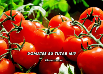 Domates Su Tutar mı?