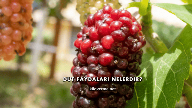 Dut Faydaları Nelerdir?