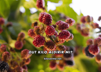 Dut Kilo Aldırır mı?
