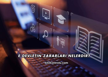 E Devletin Zararları Nelerdir?