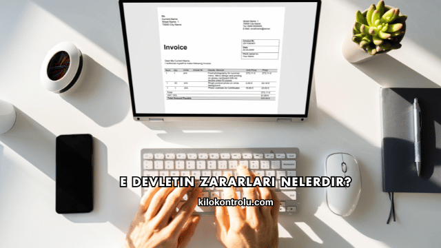 E Devletin Zararları Nelerdir?
