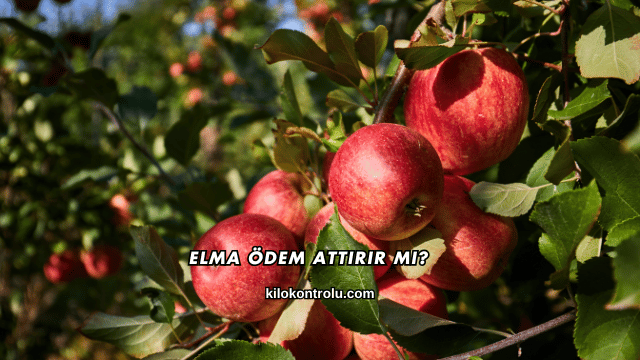 Elma Ödem Attırır mı?