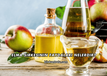 Elma Sirkesinin Faydaları Nelerdir?