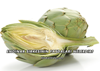 Enginar Sirkesinin Faydaları Nelerdir?