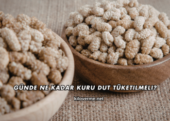 Günde Ne Kadar Kuru Dut Tüketilmeli?