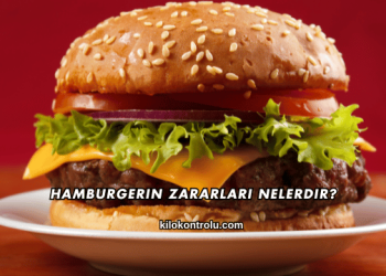 Hamburgerin Zararları Nelerdir?