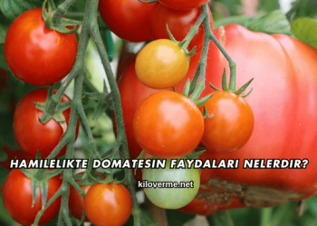 Hamilelikte Domatesin Faydaları Nelerdir?