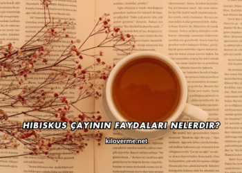 Hibiskus Çayının Faydaları Nelerdir?