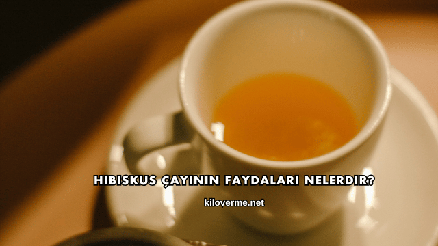 Hibiskus Çayının Faydaları Nelerdir?