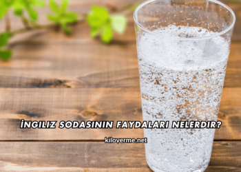 İngiliz Sodasının Faydaları Nelerdir?