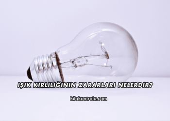 Işık Kirliliğinin Zararları Nelerdir?